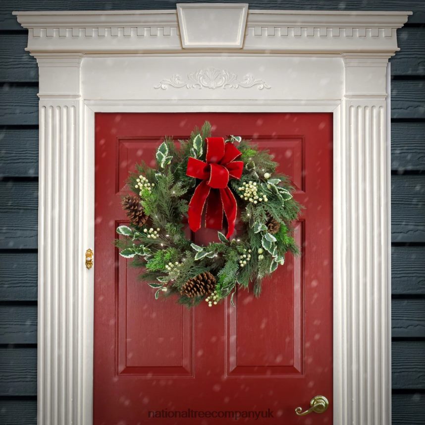 Greenery | National Tree Company 22\ HGTV Home Collection Pre-Lit Holly and Berry Wreath F2L4F248